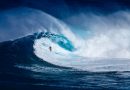 Les Insoumis surfent et répondent sans réserves
